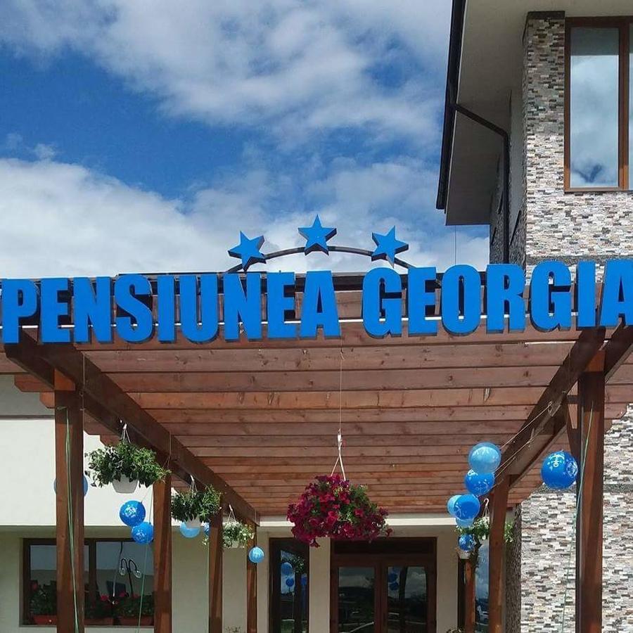 Pensiunea Georgia Lunguletu ภายนอก รูปภาพ